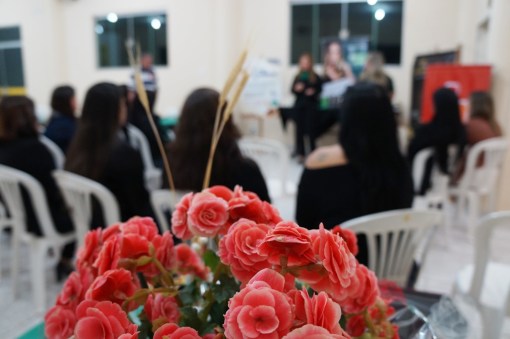 demonstracao-analise-capilar-bio-extratus-farmelhor-itau-de-minas-e-manos-mg-fraternidade-feminina-itauense-associacao-luz-do-servir-junho-2016 (1)